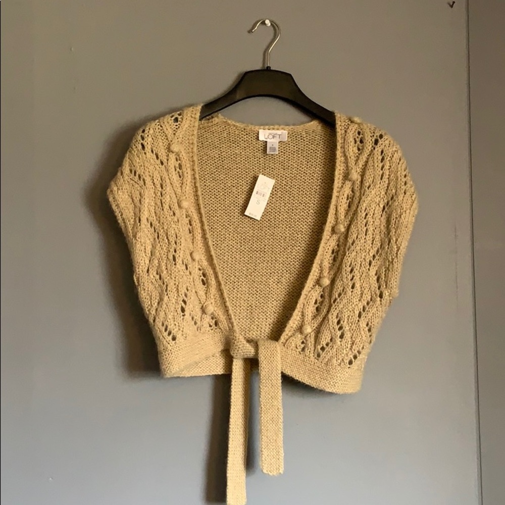 Anne Taylor LOFT Cropped Sweater NWT
